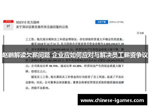 赵鹏解读欠薪问题 企业应如何应对与解决员工薪资争议